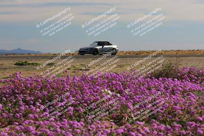 media/Jan-08-2023-SCCA SD (Sun) [[8f6a5b9391]]/Intermediate Group/Session 2 (Short Straight)/